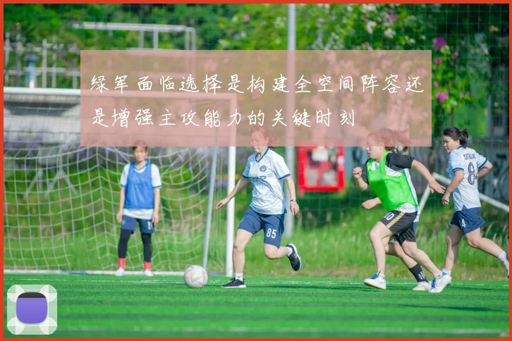 绿军面临选择是构建全空间阵容还是增强主攻能力的关键时刻