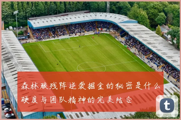 森林狼残阵逆袭掘金的秘密是什么硬度与团队精神的完美结合