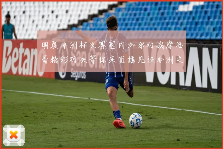 明晨非洲杯决赛塞内加尔对战摩洛哥精彩对决等你来直播见证非洲之王的诞生