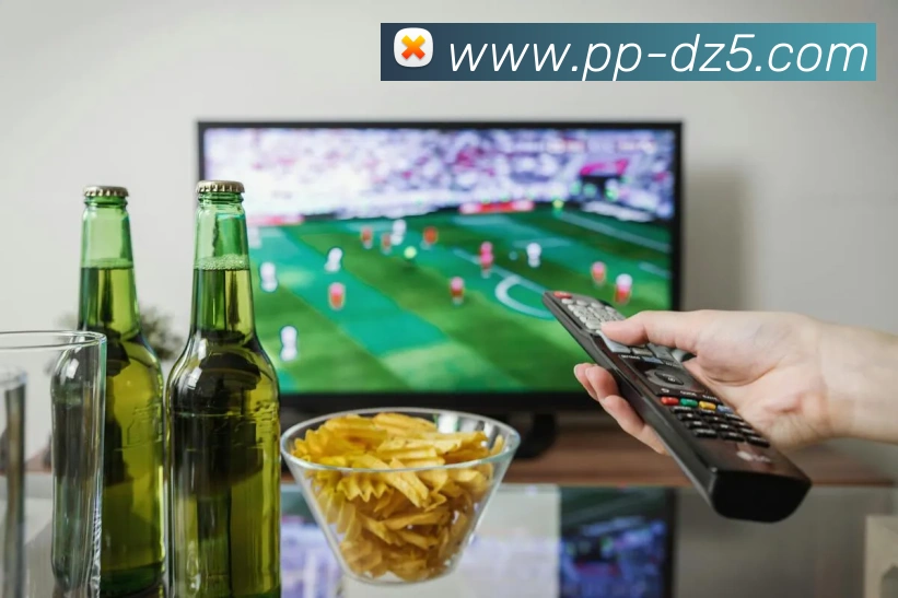 PP电子平台生态图